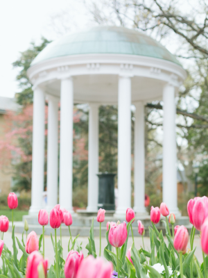 Chapel Hill_NC